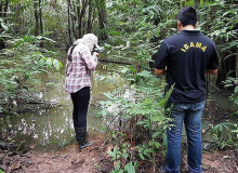 Ibama multa mineradora por contaminação de água no Pará