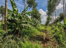 Filme sobre MST e agroecologia ganha prêmio da ONU