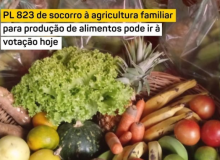 Projeto com medidas de socorro à agricultura familiar pode ser votado nesta quarta