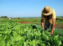 Projeto de Bolsonaro para retirar R$ 2 bi do Incra pode “enterrar” reforma agrária