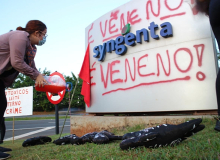 Mulheres do MST fazem atos contra multinacionais do agronegócio