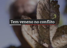 Tem veneno no conflito