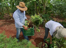 Agricultura familiar tenta aprovar PL emergencial para trabalhadores