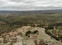 Dia do Cerrado: entidades cobram ações para que bioma não vire 'zona de sacrifício'