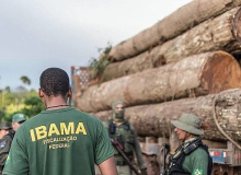 No governo Bolsonaro, número de fiscais do Ibama despencou e desmatamento disparou