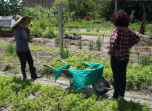 Ministério estuda programa de renegociação de dívidas para agricultores familiares